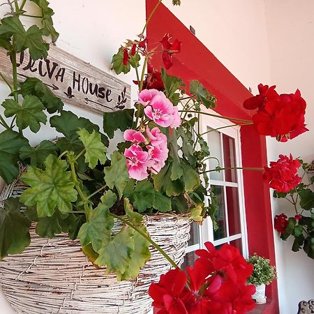 Quinta Da Mainha - Charming Houses - Escape To Nature Braga Bagian luar foto