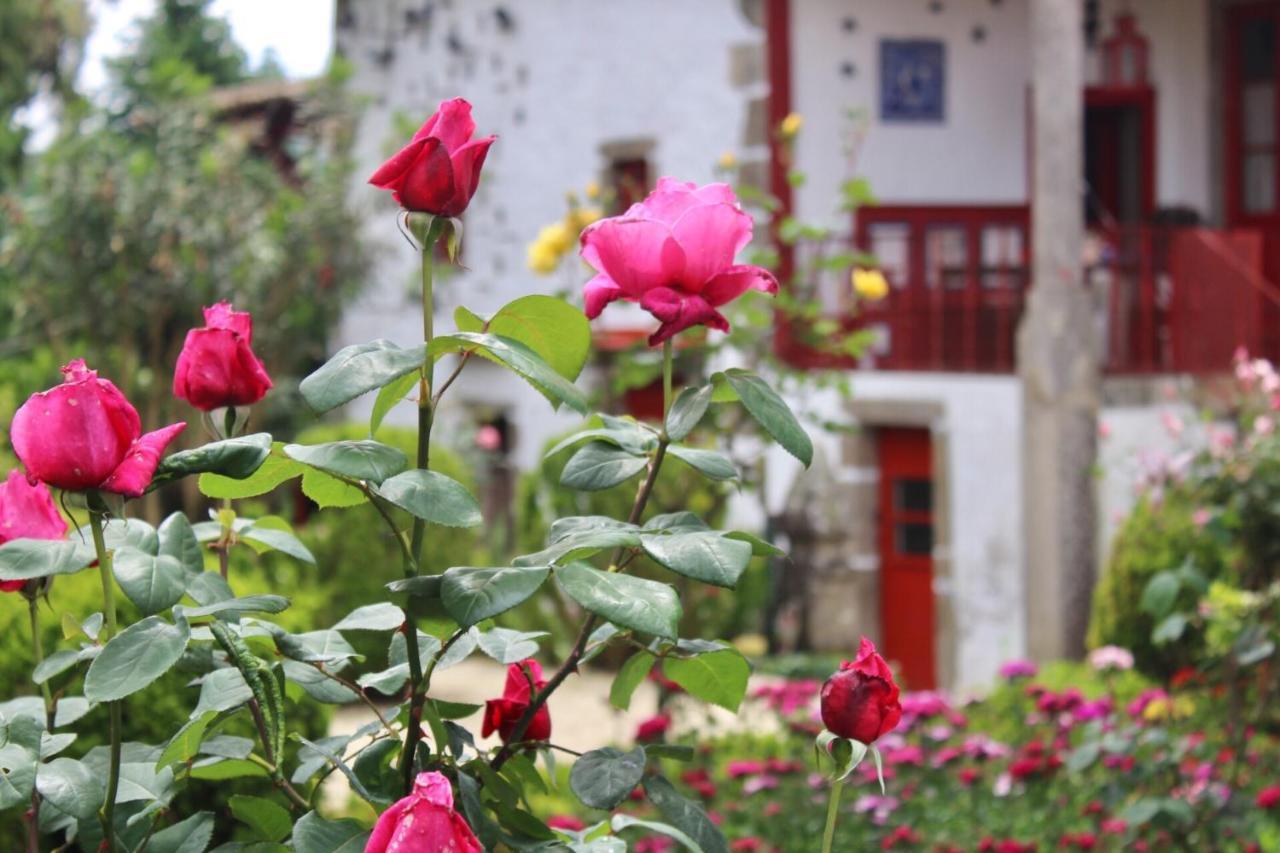 Quinta Da Mainha - Charming Houses - Escape To Nature Braga Bagian luar foto