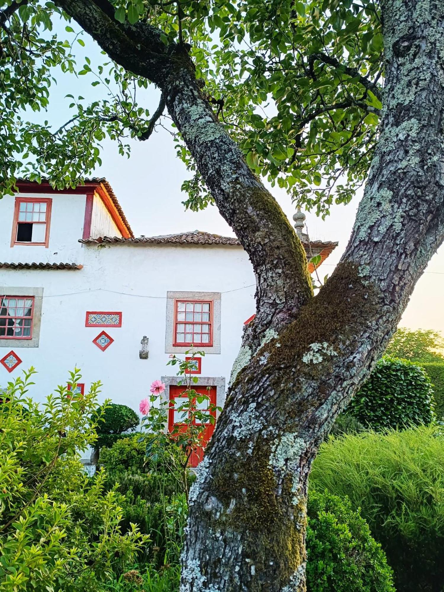 Quinta Da Mainha - Charming Houses Braga Bagian luar foto