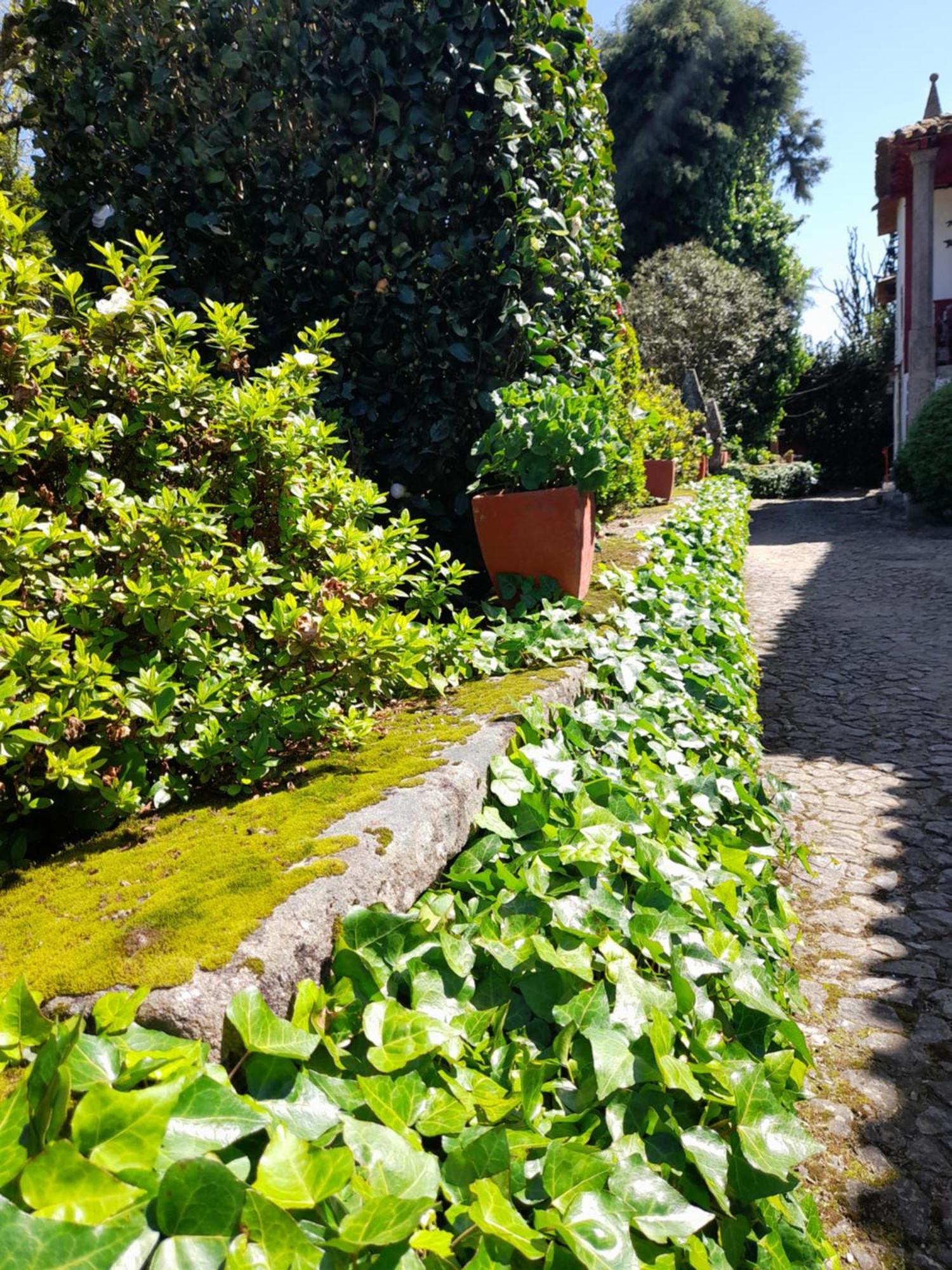 Quinta Da Mainha - Charming Houses Braga Bagian luar foto