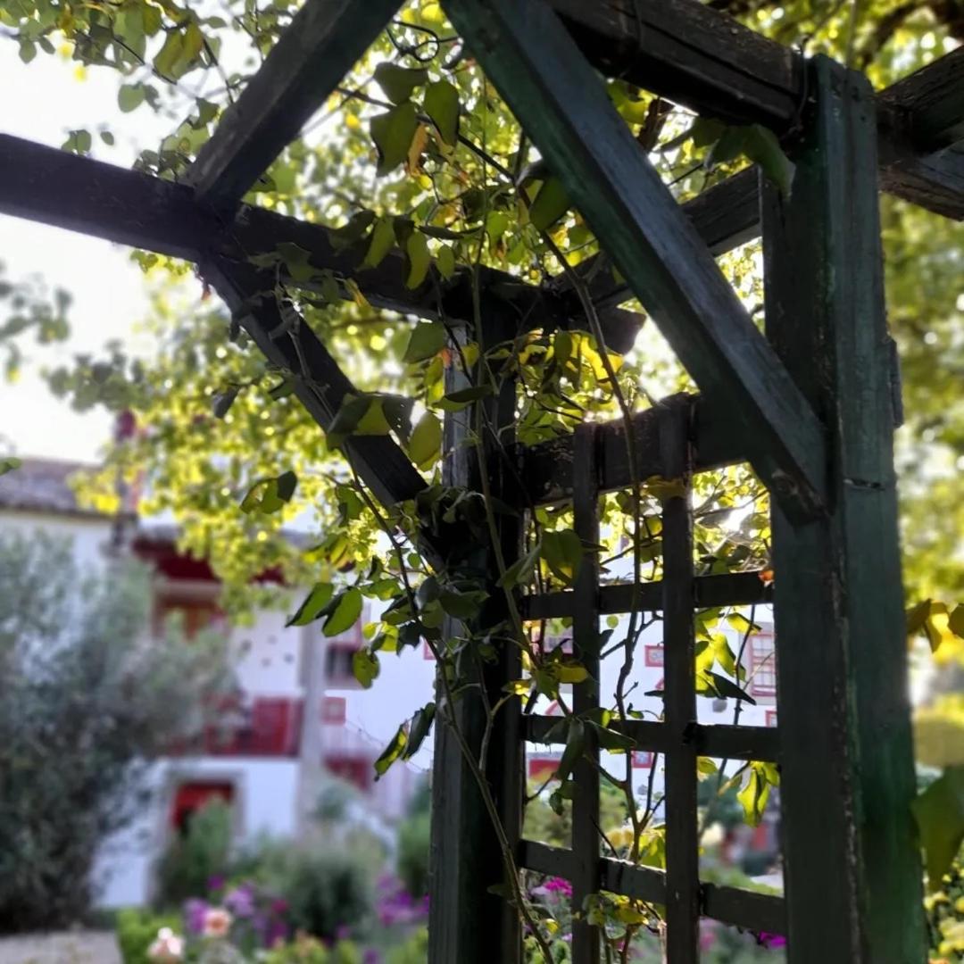 Quinta Da Mainha - Charming Houses - Escape To Nature Braga Bagian luar foto