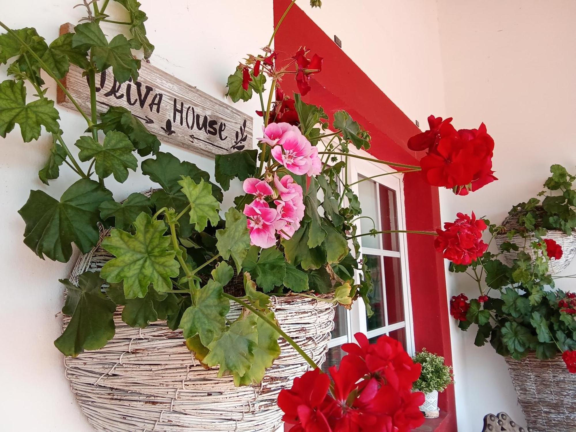 Quinta Da Mainha - Charming Houses - Escape To Nature Braga Bagian luar foto
