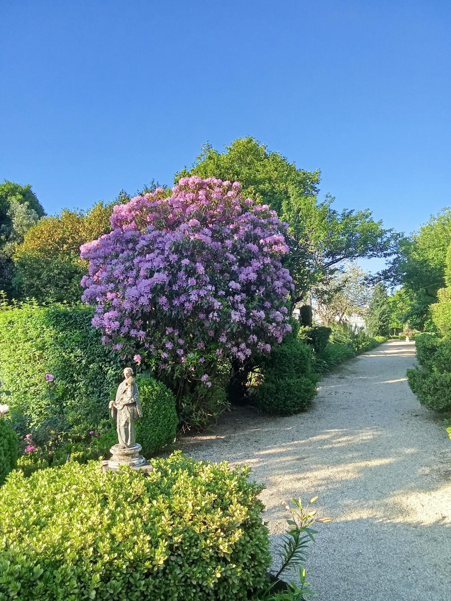 Quinta Da Mainha - Charming Houses - Escape To Nature Braga Bagian luar foto